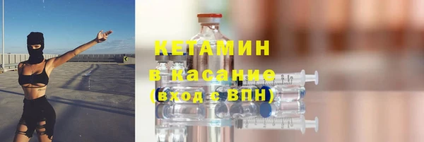 гашик Алексин