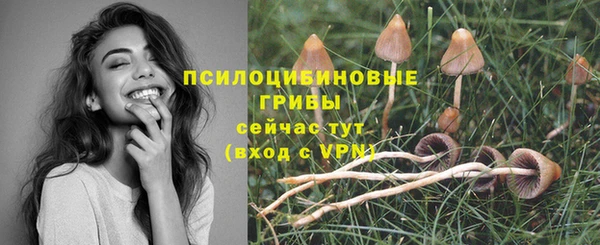 соль ск Алзамай