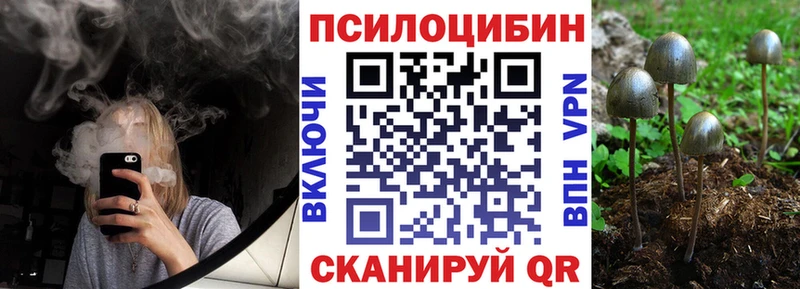 Псилоцибиновые грибы GOLDEN TEACHER  закладки  blacksprut как зайти  Ефремов 